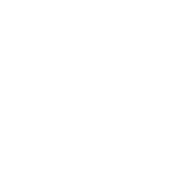 Database Management